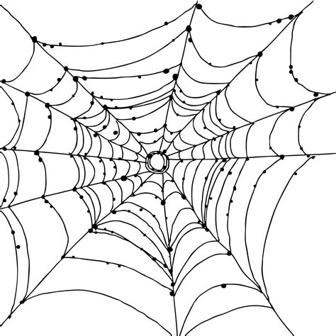 Simple Spider Web Drawing at GetDrawings | Free download