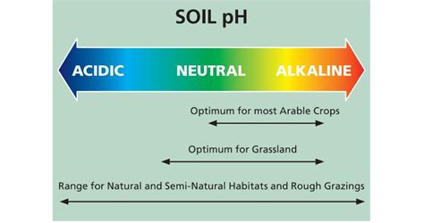 Know your soil pH and nutrient needs – CFE Online