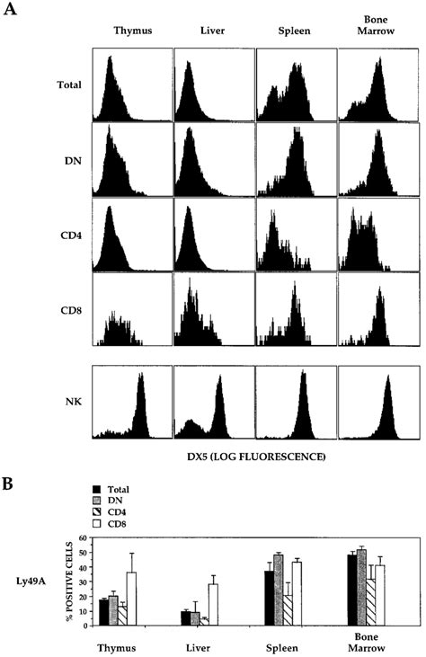 Expression of NK cell markers by NKT cells. A, Cells isolated from ...