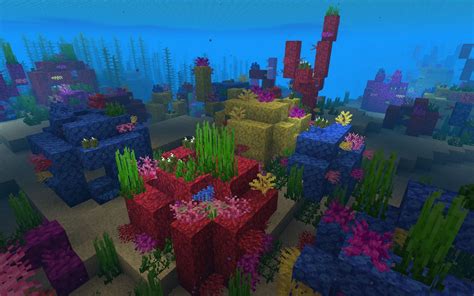 5 best ocean biomes in Minecraft