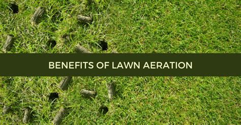 Benefits of Lawn Aeration - Blog - Quiet Lawn & Pest - Healthy Lawns ...