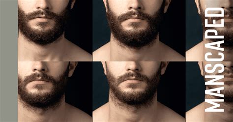 5 Beard Growth Stages for Men [Explained] | MANSCAPED™ Blog