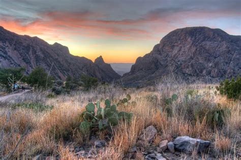 Chisos Mountains | Birding Locations