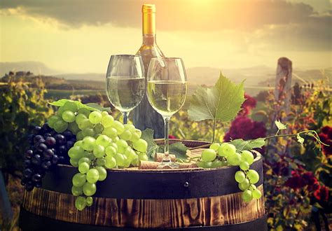 HD wallpaper: landscape, wine, bottle, glasses, grapes, tube, barrel ...