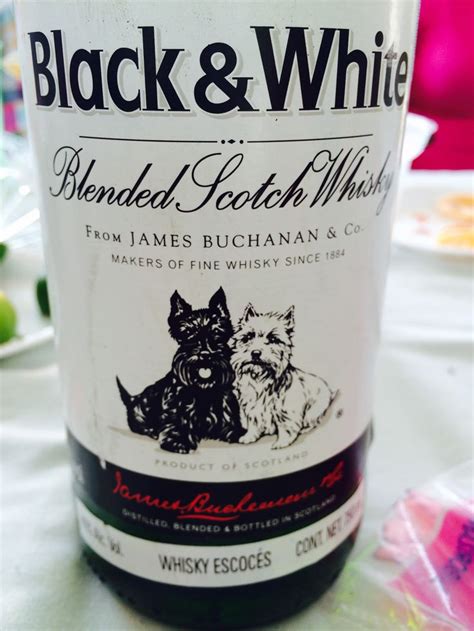 177 best images about black&white whisky scottie's on Pinterest ...