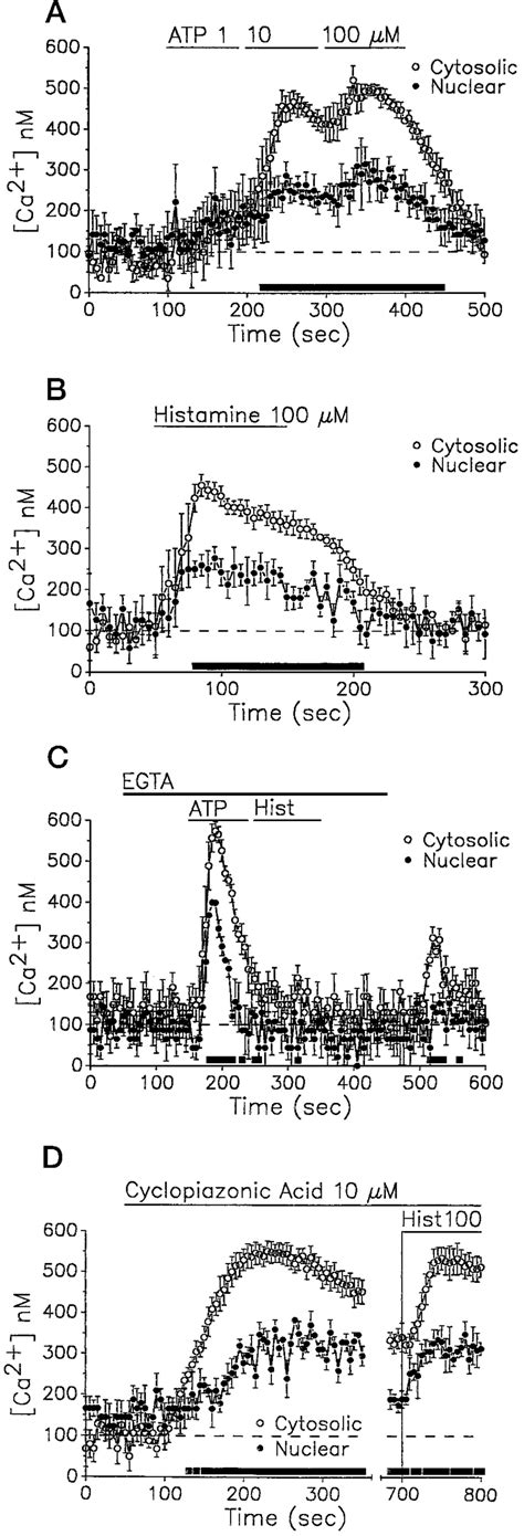 Comparison of aequorin estimated [Ca 2 ] n and aequorin estimated [Ca 2 ...