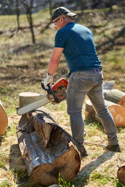 Lumberjack with Chainsaw Working Stock Image - Image of forest, farmer ...