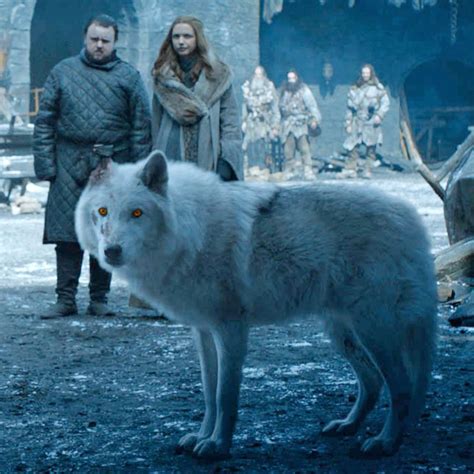 Why Game of Thrones Had to Shoo Away Its Direwolves | Direwolves, Dire ...