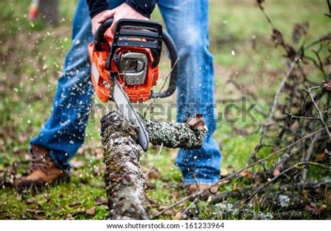 Lumberjack Worker Full Protective Gear Cutting Stock Photo (Edit Now ...