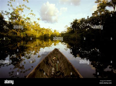 Amazon rainforest Ecuador Stock Photo - Alamy