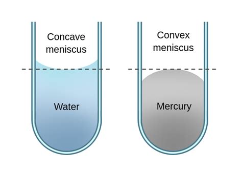 Sapone impegnarsi sempre più inverted meniscus macchina da cucire ...