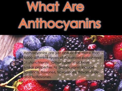 What are anthocyanins and benefits