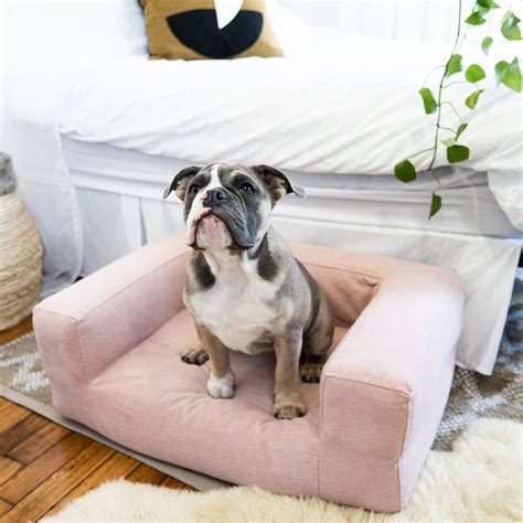 Small Dog Couch / Dog Bed – Blvd Co