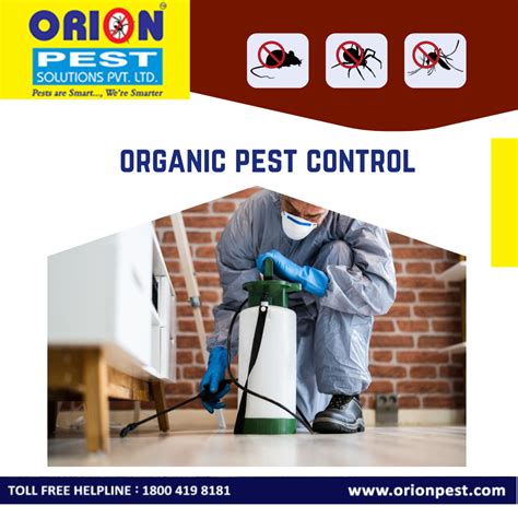 Organic Pest Control: Everything You Need to Know | Orion Pest Solutions