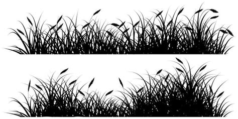 Grass Vector Art, Icons, and Graphics for Free Download