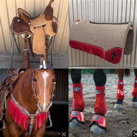 Red tack | Horse tack, Barrel racing tack sets, Barrel racing tack