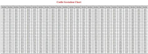 Cattle Gestation Period Table - Infoupdate.org