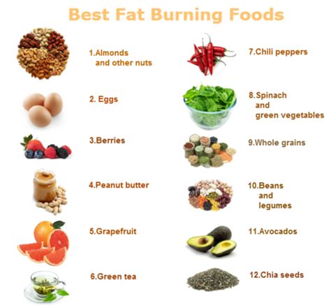 Fat Burning Foods - GOQii