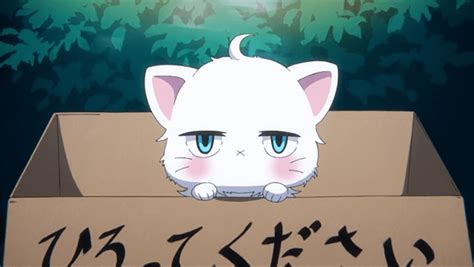 These Anime Cats Have Unique Attitudes About Their Owners