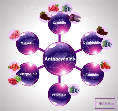 Prevent Cancer with Anthocyanins