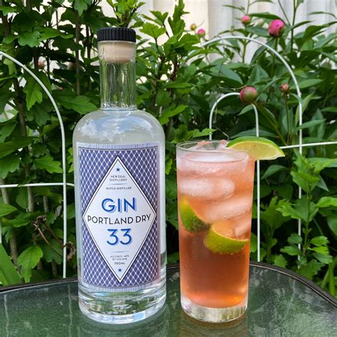 Strawberry Gin and Tonic - New Deal Distillery