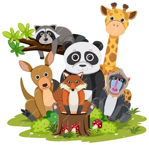 Animal Group Clipart Png