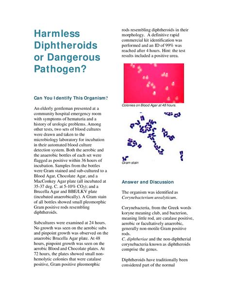 Harmless Diphtheroids or Dangerous Pathogen? | Slides History | Docsity