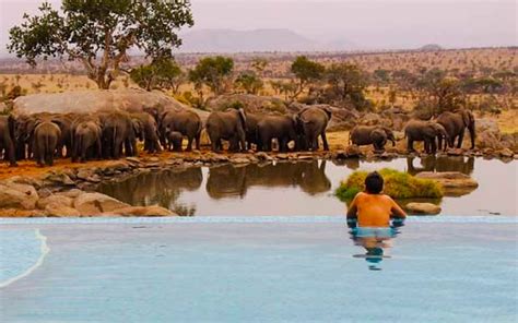 15 Serengeti National Park Hotels - Which To Choose?