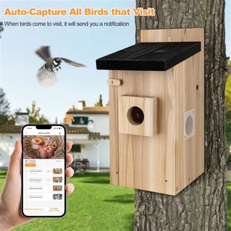 Dropship Smart Bird House With Camera,3MP Birdhouse Camera For Outdoors ...