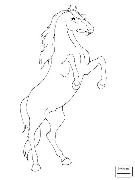 Bucking Horse Lineart Horse Coloring Pages Horse Coloring Horse ...