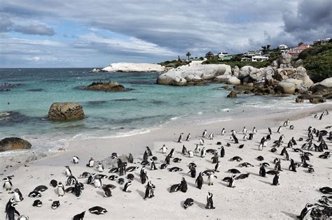 19 Best Cape Town Beaches