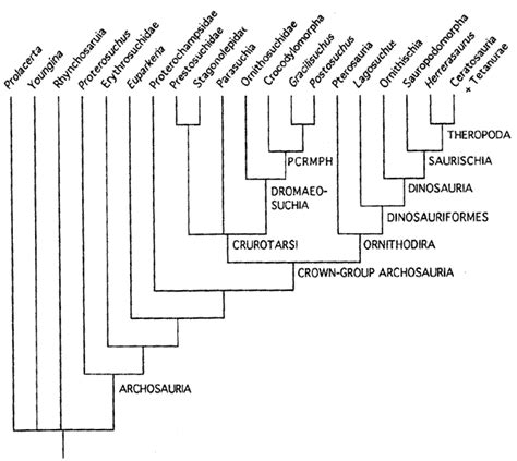 BLOG DINO WORLD: Archosauria