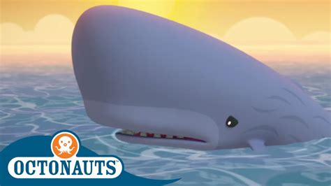 Octonauts Ghost Whale