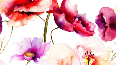 Watercolor Flower Background Hd - Videohive , After Effects,Pro Video ...