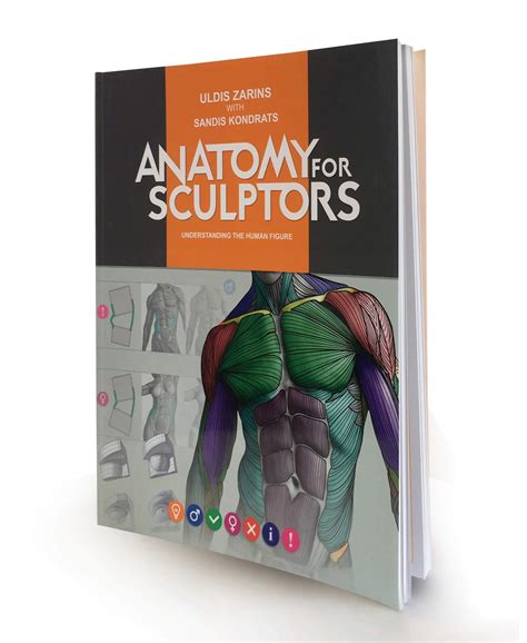 47+ Anatomy For Sculptors Background