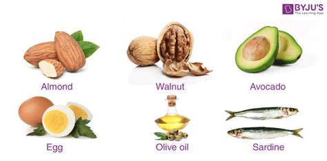 Importance of Fats - Types of Fats, Sources and its Benefits