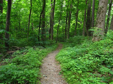 Best Hiking Trails on Long Island – VanDyke Gardens