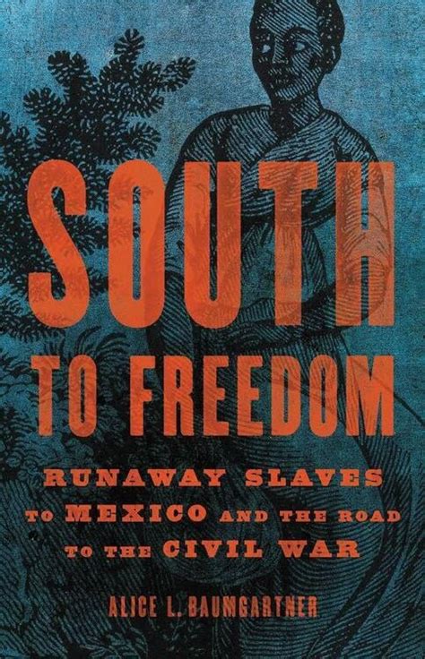 South to Freedom: Runaway Slaves to Mexico & the Road to the Civil War ...