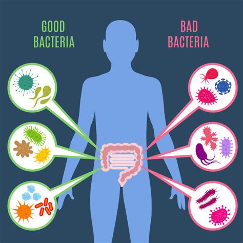 10 Evidence Based Ways to Boost Healthy Gut Bacteria