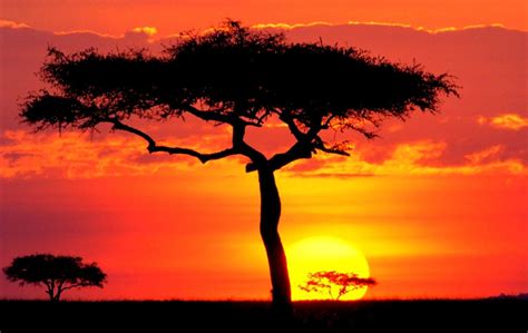 African Sunset Wallpapers - Top Free African Sunset Backgrounds ...