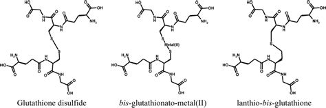 Glutathione disulfide; GSSG