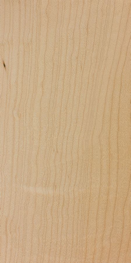 Hard maple | The Wood Database - Lumber Identification (Hardwood)