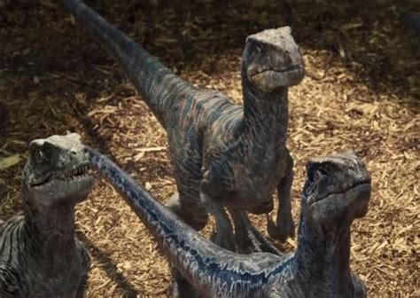 9 Facts about the Jurassic Park Velociraptors - Paultons Park