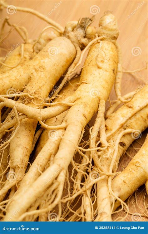 Fresh Ginseng Root Texture Royalty-Free Stock Photo | CartoonDealer.com ...