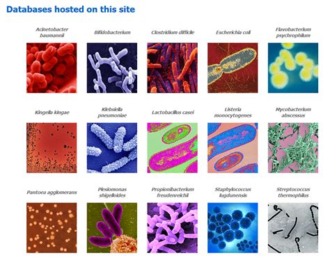 Sylvain Brisse - Genomic and nomenclature databases of pathogenic ...