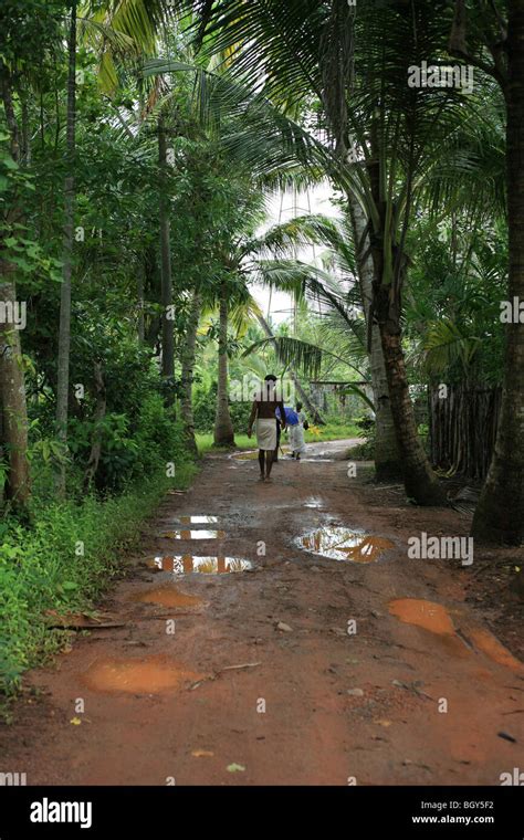 The Backwaters, Alleppy, Kerala, India Stock Photo - Alamy