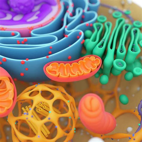 Cell Structure Detail Photograph by Sciepro/science Photo Library - Pixels