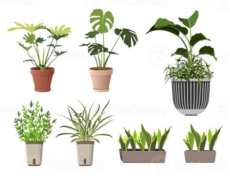 plantas en macetas caseras 12302149 PNG