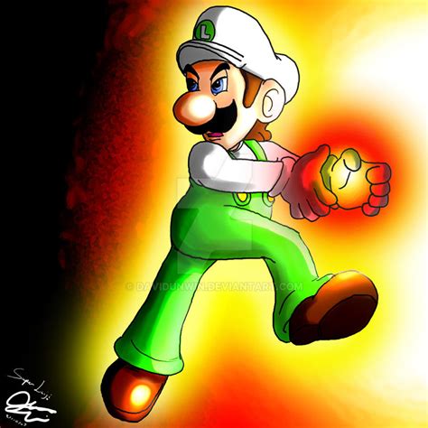 Fire Flower Luigi by DavidUnwin on DeviantArt