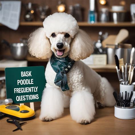 Poodle Grooming: Fundamental Tips for Show-Quality Coat